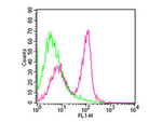 CD3e Antibody in Flow Cytometry (Flow)