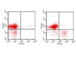 CD3e Antibody in Flow Cytometry (Flow)