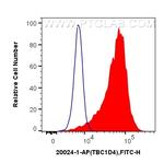 TBC1D4 Antibody in Flow Cytometry (Flow)