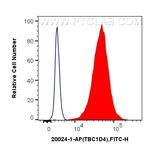 TBC1D4 Antibody in Flow Cytometry (Flow)