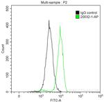 NCOA3 Antibody in Flow Cytometry (Flow)