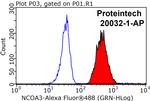 NCOA3 Antibody in Flow Cytometry (Flow)