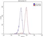 NCOA5 Antibody in Flow Cytometry (Flow)