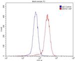 DRD5 Antibody in Flow Cytometry (Flow)