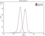 P2RY13 Antibody in Flow Cytometry (Flow)