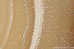 DOC2A Antibody in Immunohistochemistry (Paraffin) (IHC (P))