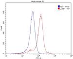 SSTR1 Antibody in Flow Cytometry (Flow)