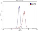 PTAFR Antibody in Flow Cytometry (Flow)