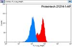PLOD2 Antibody in Flow Cytometry (Flow)