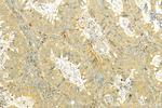 SLC39A2 Antibody in Immunohistochemistry (Paraffin) (IHC (P))