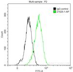 ITK Antibody in Flow Cytometry (Flow)