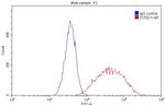 HLA-DRB5 Antibody in Flow Cytometry (Flow)