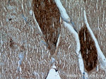 HSPB2 Antibody in Immunohistochemistry (Paraffin) (IHC (P))