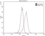 SPRY4 Antibody in Flow Cytometry (Flow)