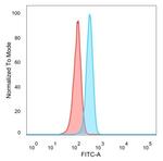FOXL1/Forkhead Box Protein L1 (Transcription Factor) Antibody in Flow Cytometry (Flow)