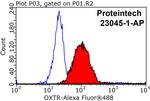 Oxytocin Receptor Antibody in Flow Cytometry (Flow)