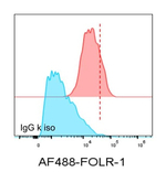 Folate Receptor Alpha (FRalpha)/FOLR1 Antibody in Flow Cytometry (Flow)
