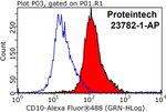MME/CD10 Antibody in Flow Cytometry (Flow)