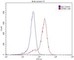 PLXNB1 Antibody in Flow Cytometry (Flow)