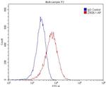 MOK Antibody in Flow Cytometry (Flow)