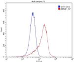 CLEC14A Antibody in Flow Cytometry (Flow)