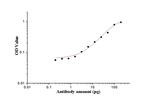 PR repeat Antibody in ELISA (ELISA)