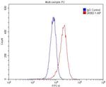VSTM1 Antibody in Flow Cytometry (Flow)