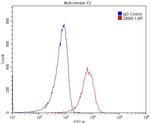 MYO10 Antibody in Flow Cytometry (Flow)