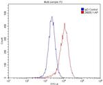 SRA1 Antibody in Flow Cytometry (Flow)