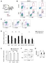 Mouse IgM Antibody in Flow Cytometry, ELISA (Flow, ELISA)