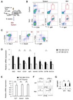 Mouse IgM Antibody in Flow Cytometry (Flow)