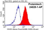 CD20 Antibody in Flow Cytometry (Flow)