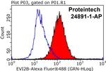 EVI2B Antibody in Flow Cytometry (Flow)