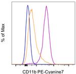 CD11b (activation epitope) Monoclonal Antibody (CBRM1/5), PE-Cyanine7, eBioscience™