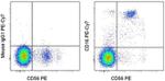 CD16 Monoclonal Antibody (eBioCB16 (CB16)), PE-Cyanine7, eBioscience™