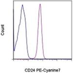 CD24 Monoclonal Antibody (eBioSN3 (SN3 A5-2H10)), PE-Cyanine7, eBioscience™