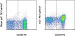 CD31 (PECAM-1) Monoclonal Antibody (TLD-3A12), PE-Cyanine7, eBioscience™