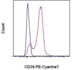 CD38 Monoclonal Antibody (HB7), PE-Cyanine7, eBioscience™