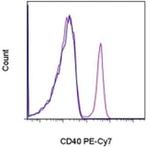 CD40 Monoclonal Antibody (5C3), PE-Cyanine7, eBioscience™