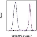 CD45.2 Monoclonal Antibody (104), PE-Cyanine7, eBioscience™
