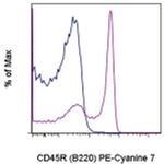 CD45R (B220) Monoclonal Antibody (HIS24), PE-Cyanine7, eBioscience™