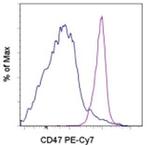CD47 Monoclonal Antibody (miap301), PE-Cyanine7, eBioscience™