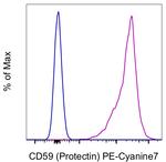 CD59 (Protectin) Monoclonal Antibody (OV9A2), PE-Cyanine7, eBioscience™