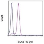 CD68 Monoclonal Antibody (eBioY1/82A (Y1/82A)), PE-Cyanine7, eBioscience™