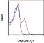 CD73 Monoclonal Antibody (AD2), PE-Cyanine7, eBioscience™