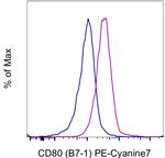 CD80 (B7-1) Monoclonal Antibody (2D10.4), PE-Cyanine7, eBioscience™
