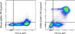 CD88 (C5aR1) Monoclonal Antibody (S5/1), PE-Cyanine7, eBioscience™