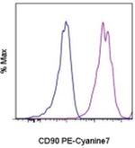 CD90 (Thy-1) Monoclonal Antibody (eBio5E10 (5E10)), PE-Cyanine7, eBioscience™
