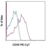 CD95 (APO-1/Fas) Monoclonal Antibody (DX2), PE-Cyanine7, eBioscience™
