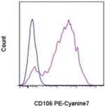 CD106 (VCAM-1) Monoclonal Antibody (STA), PE-Cyanine7, eBioscience™